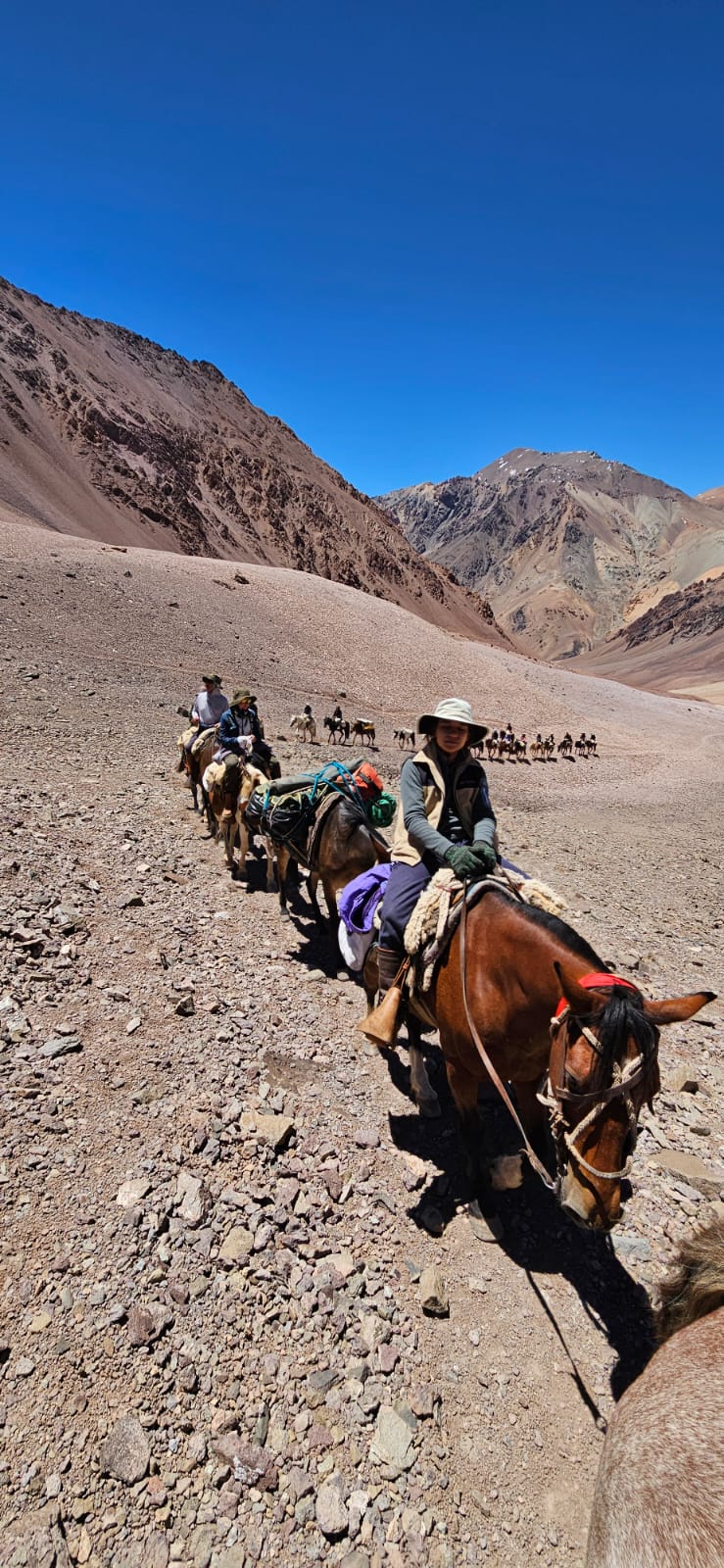 Andes