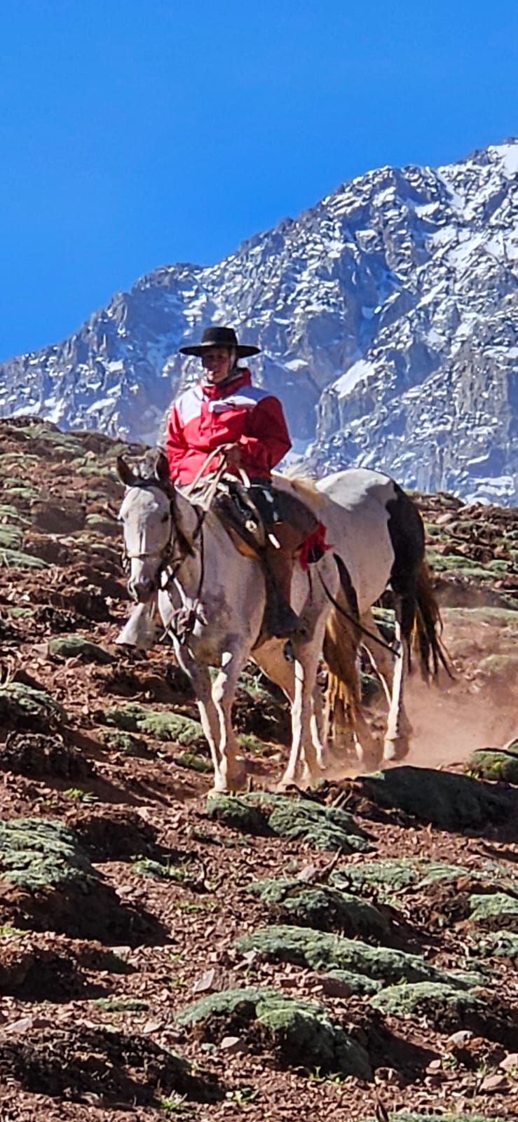 Rider with snow-capped peak